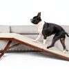 PetSafe Aluminum Pet Door Extreme Weather Protection Large-6