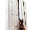 Door Buddy Cat Door Latch Adjustable Pet Gate Made in USA-5