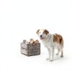 PetSafe Aluminum Pet Door Extreme Weather Protection Large-1