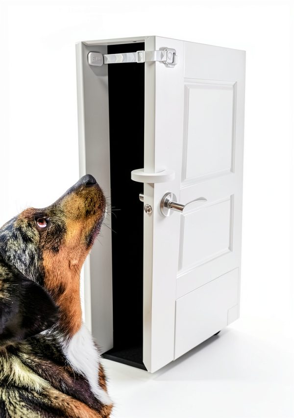 Door Buddy Cat Door Latch Adjustable Pet Gate Made in USA-2