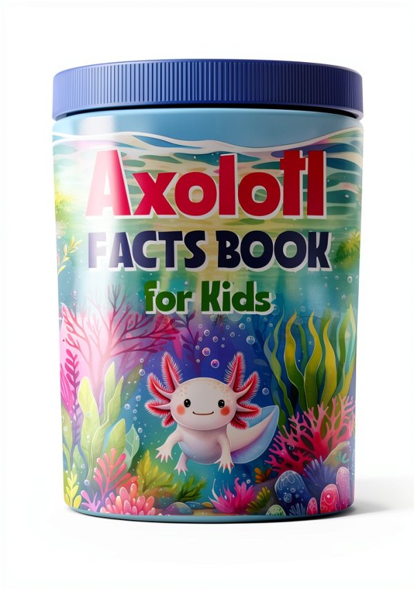 Children's Mexico Exploration eBook by XYZ Kindle 105 Pages-0